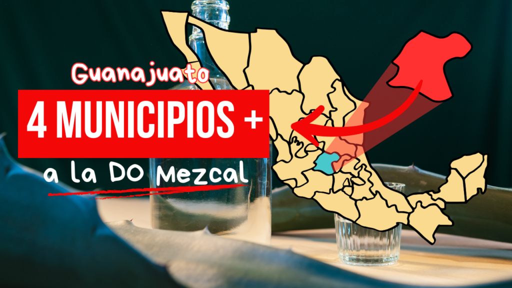 mezcalguanajuato