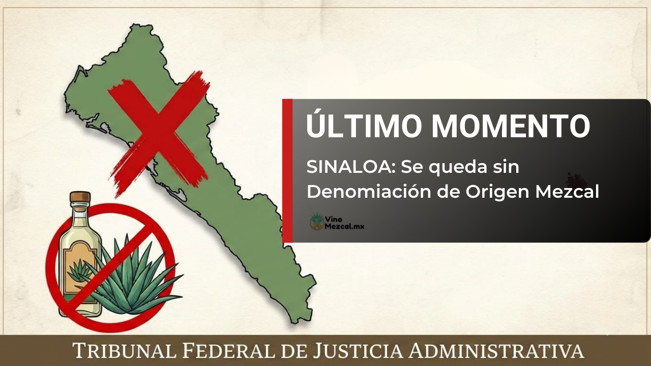 sinaloa mezcal