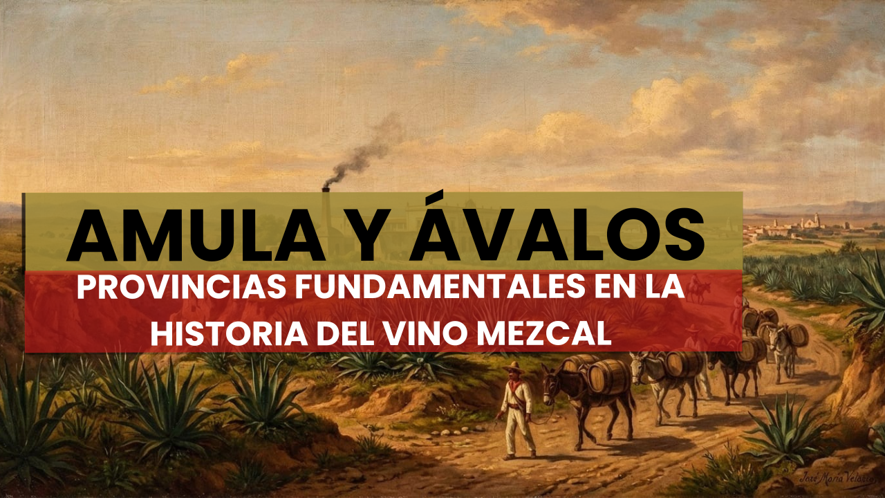 amula y avalos