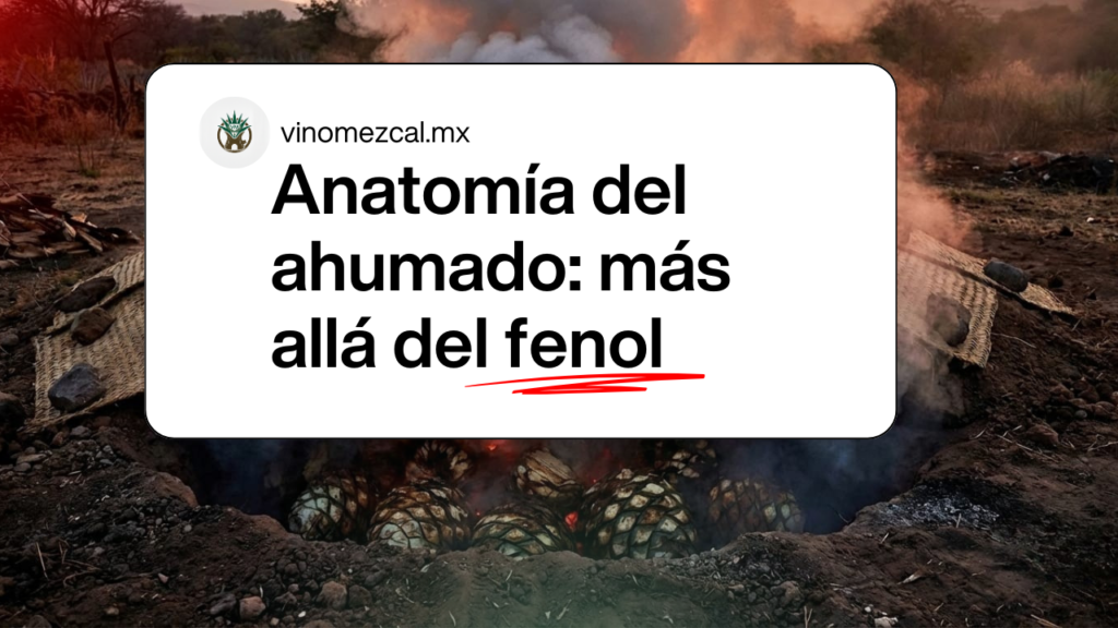 anatomia dle ahumado