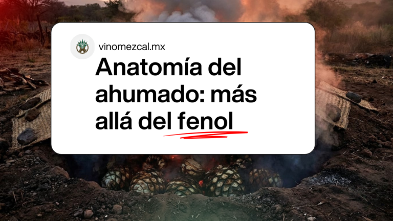 anatomia dle ahumado