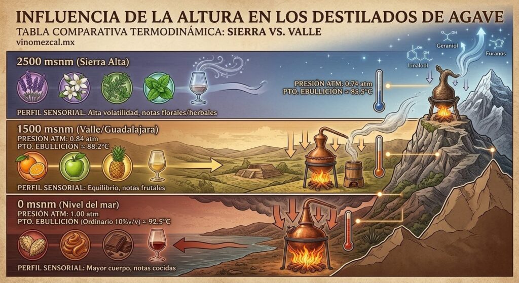 grafico de una tabla comparativa de la temrodinámica ne los destilados de agave, comparación entre sierra y valle d evinomezcal.mx