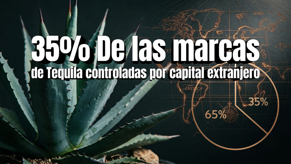 Planta de agave azul junto a mapa del mundo ilustrando el control del capital extranjero en la industria del tequila.