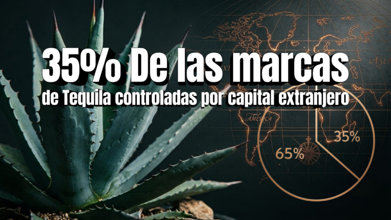 Planta de agave azul junto a mapa del mundo ilustrando el control del capital extranjero en la industria del tequila.