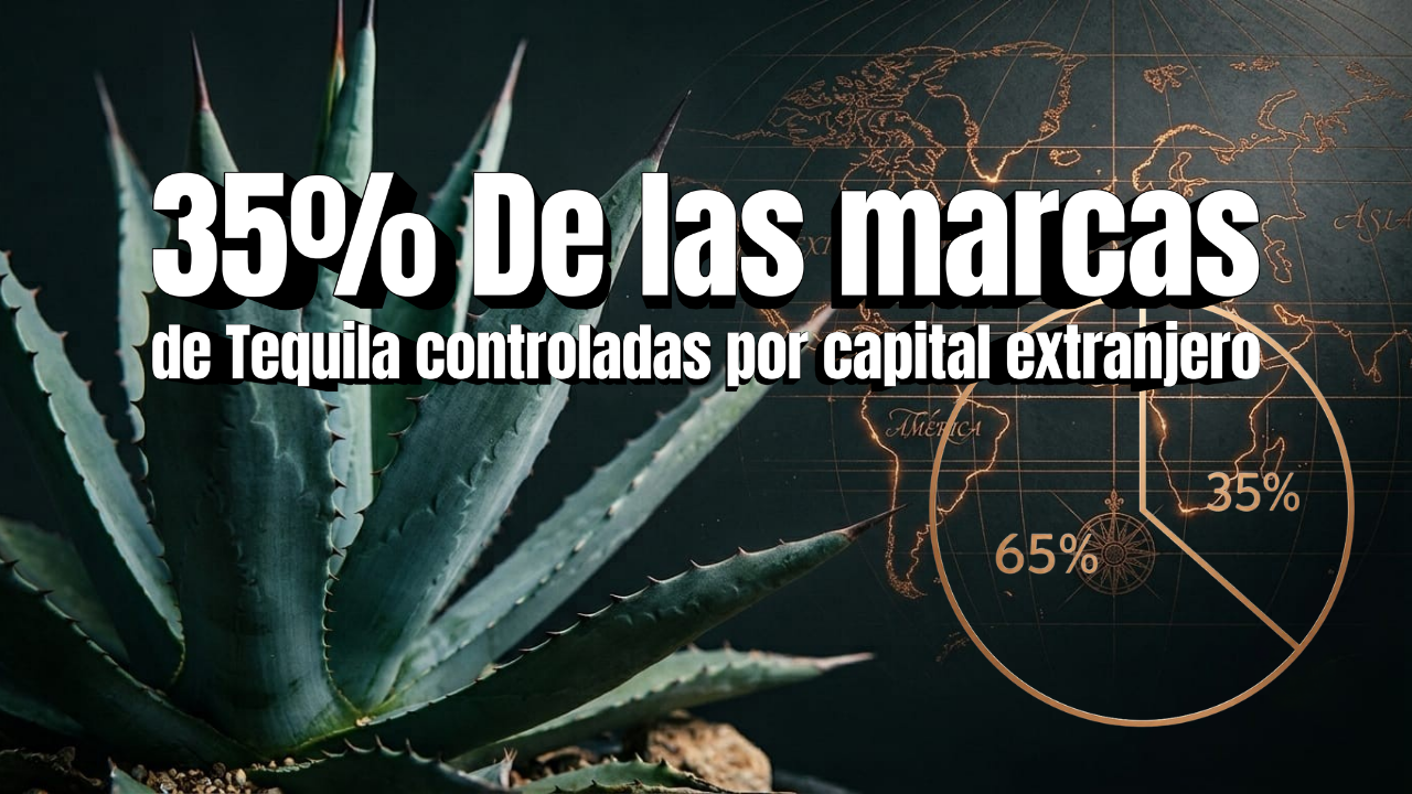 Planta de agave azul junto a mapa del mundo ilustrando el control del capital extranjero en la industria del tequila.