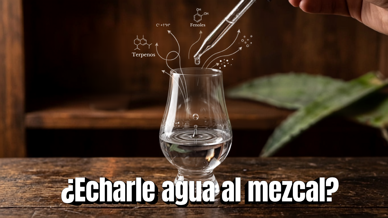 Experimento de microdilución: gotero agregando agua a una copa de mezcal para liberar compuestos aromáticos y reducir el vapor de etanol.